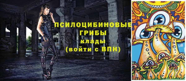 PSILOCYBIN Лиски
