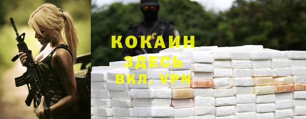 PSILOCYBIN Лиски