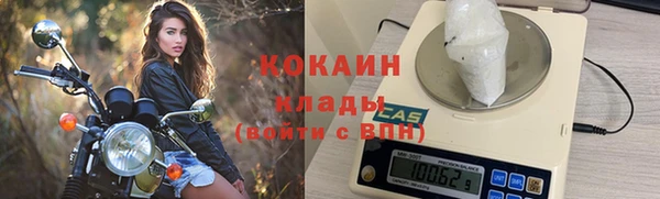 прущие грибы Липки