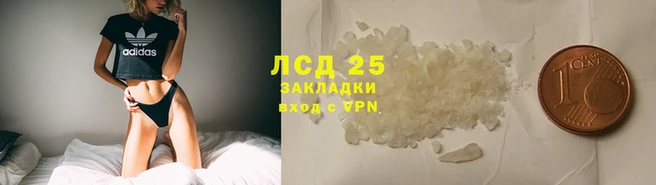 прущие грибы Липки