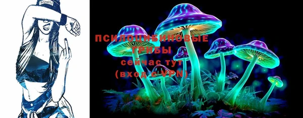 прущие грибы Липки