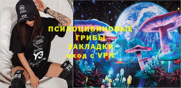 прущие грибы Липки
